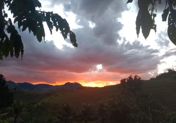 Comunidade Água Limpa na Roseira